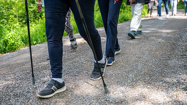 Personen im Wald, die spazieren gehen