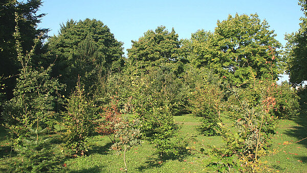 Grabareal Friedpark Karlsruhe®
