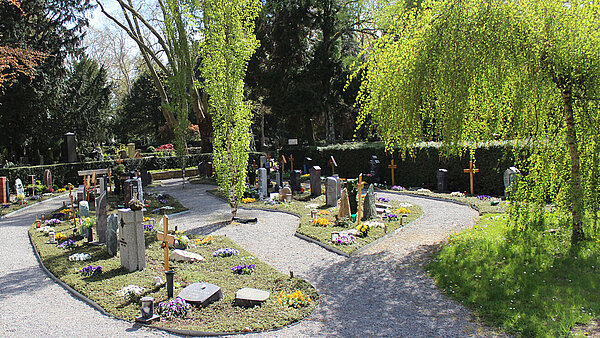 Grabareal Birkenfeld