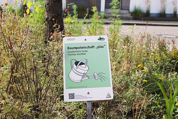 Das Bild zeigt ein Hinweisschild zu einer Baumpatenschaft in einem Blumenbeet.