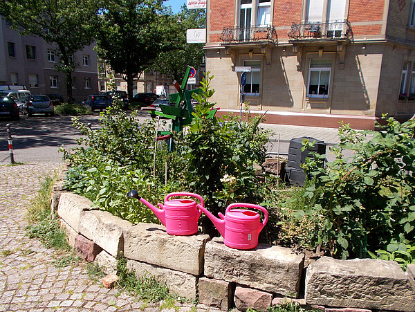 Urban Gardening