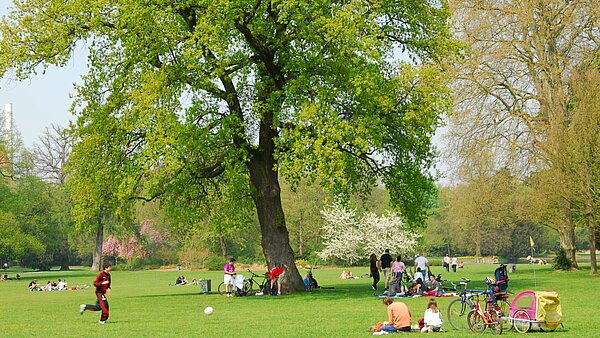 Schlosspark