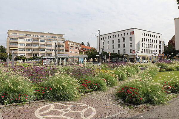 Sommerflor