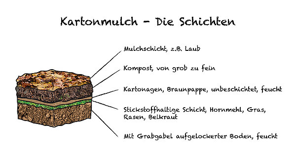 Illustration Bodenaufbau Schichten