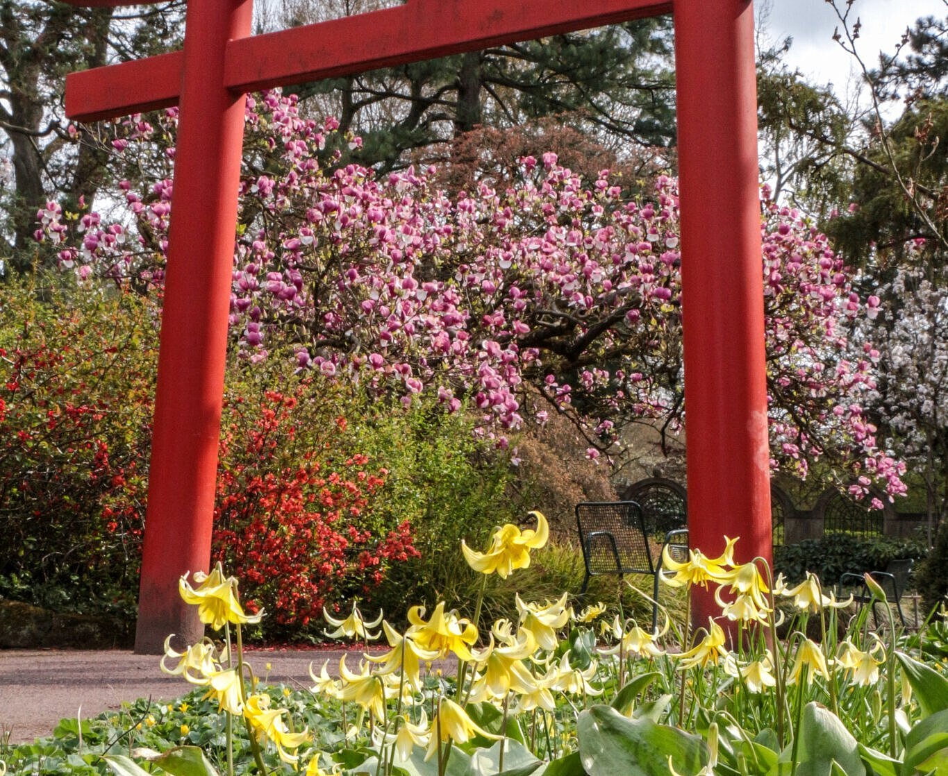 Japangarten