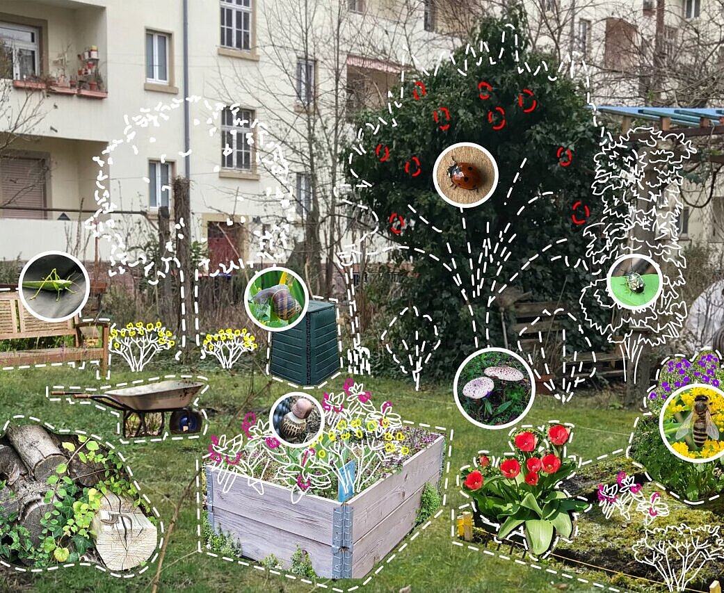 Grund zu Garten