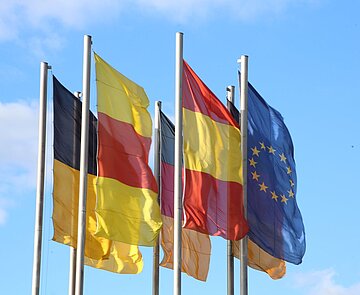 Fahnenabbildung