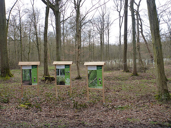 Forstliche Infoschilder Das Bild zeigt Informationstafeln zu forstlichen Themen im Wald.