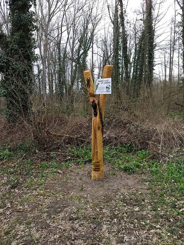 PEFC-Infoschild auf Holzkunstwerk Das Bild zeigt ein Holzkunstwerk mit Infoschild zu PEFC.