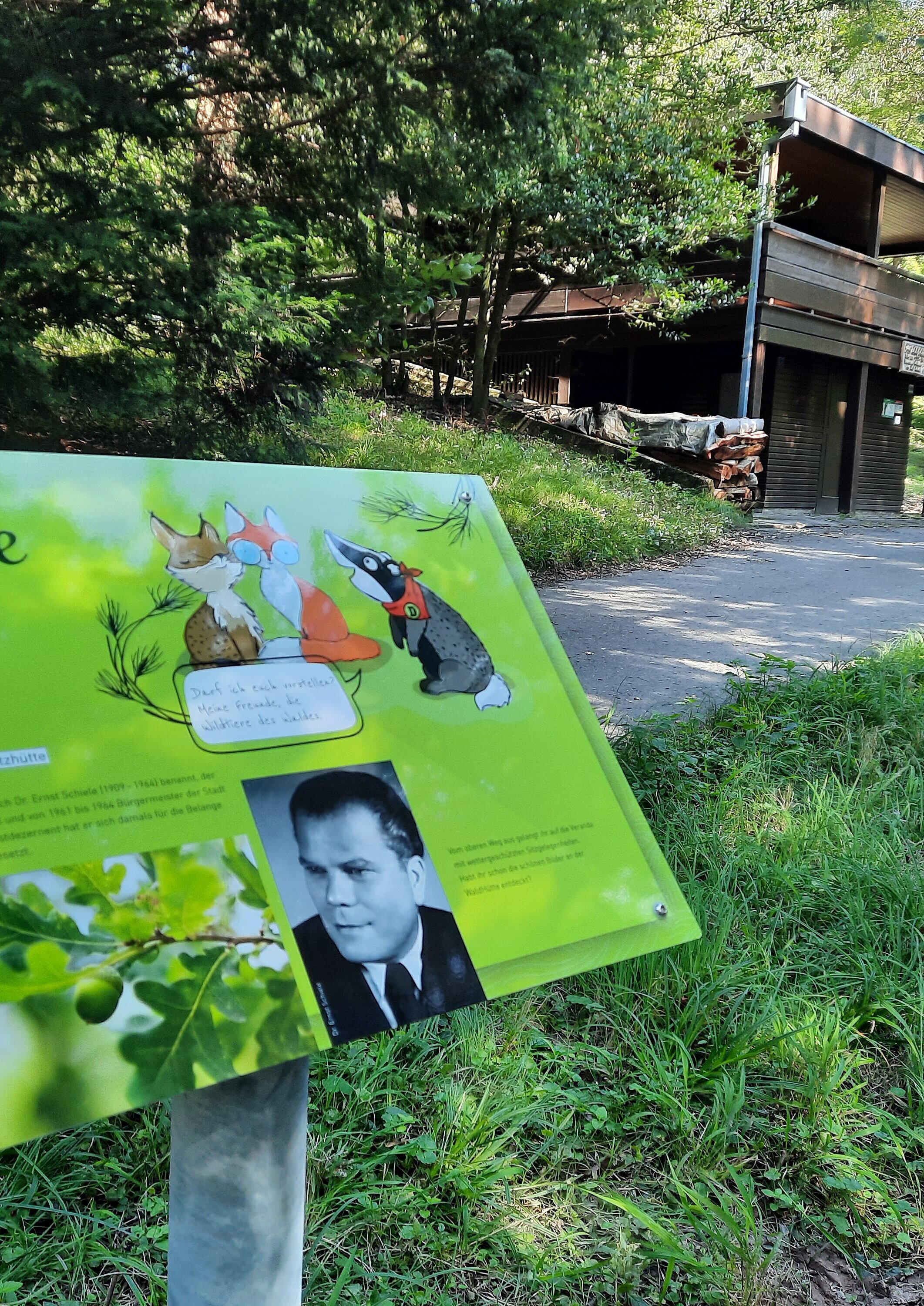 Infotafel "WaldWelt" Das Bild zeigt eine Infotafel des Pfades "WaldWelt".