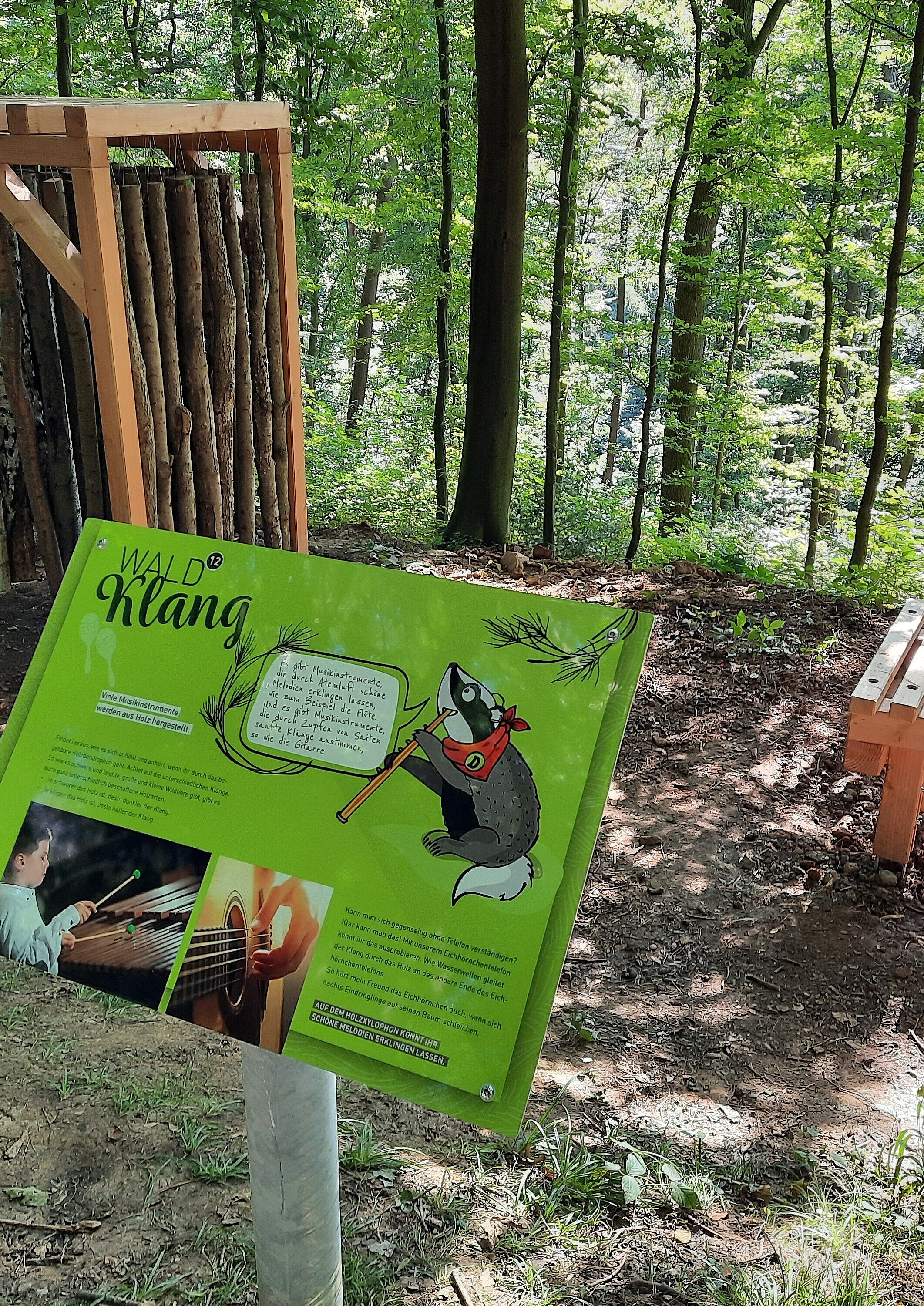 Station Waldklang "WaldWelt" Das Bild zeigt die Station Waldklang des Pfades "WaldWelt".