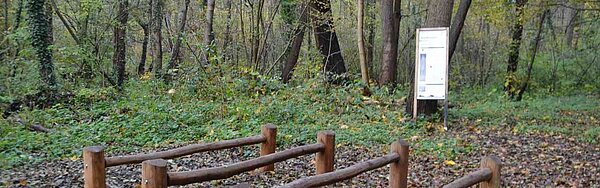 Hürdenlaufstation im Waldsprtpfad Daxlanden Das Bild zeigt die Hürdenlaufstation im Waldsportpfad Daxlanden.
