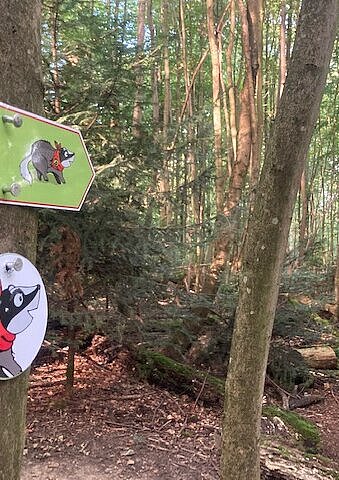 Wegweiser zum Pfad "WaldWelt" Das Bild zeigt einen kleinen Wegweiser zum Pfad "WaldWelt".