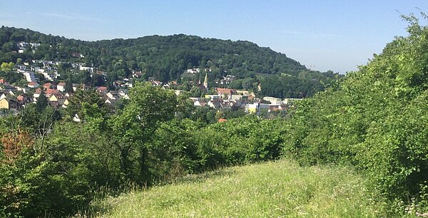 Aussicht