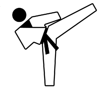 judo