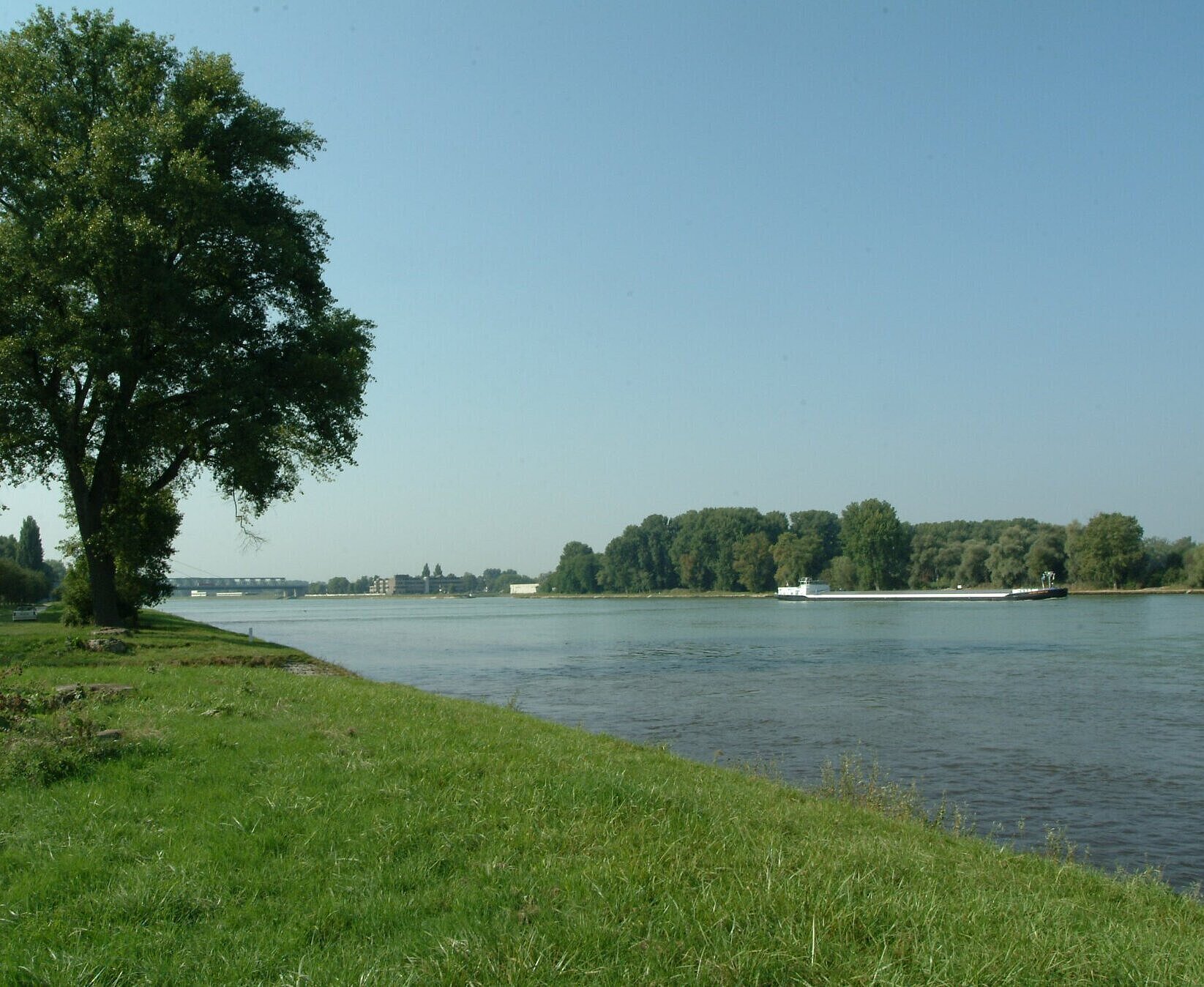 Rhein Rhein