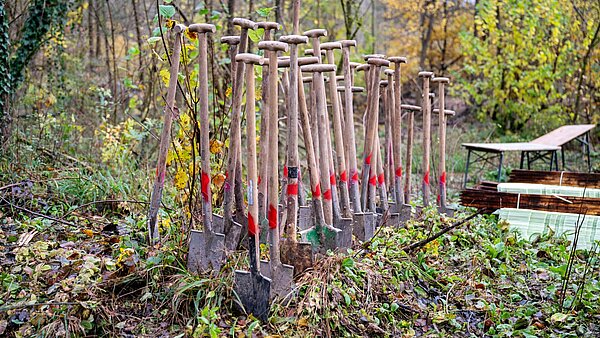 Baumpflanzaktion Spaten stecken in Erde im Wald