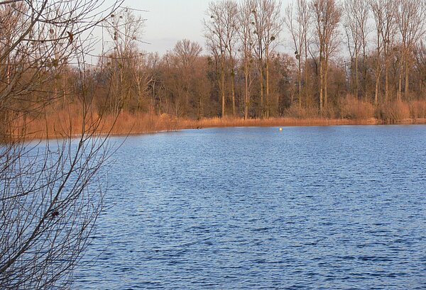 Kleiner Bodensee Kleiner Bodensee mit Uferbewuchs im Hintergrund