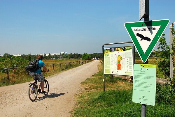 Alter Flugplatz Ein Radfahrer fährt über einen Weg am Alten Flugplatz.