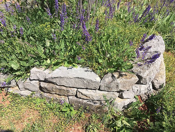 Trockenmauer