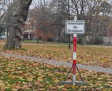 Ein Schild steht in der Nähe eines Laubbaumes auf einer Wiese. Das Schild trägt die Aufschrift: Sammelstelle für Christbäume
