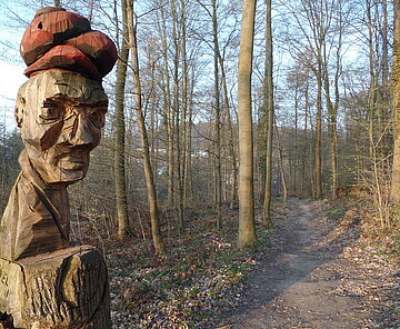 Waldpfad