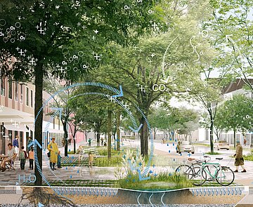 Schwammstadt Bauchplan Platz mit Bäumen und Untergrunddarstellung