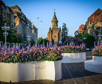 Blick über die Piața Victoriei (Siegesplatz) mit besonderem Blumenschmuck zum Blumenfestival auf die orthodoxen Kathedrale im Hintergrund