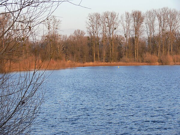 Kleiner Bodensee Kleiner Bodensee mit Uferbewuchs im Hintergrund