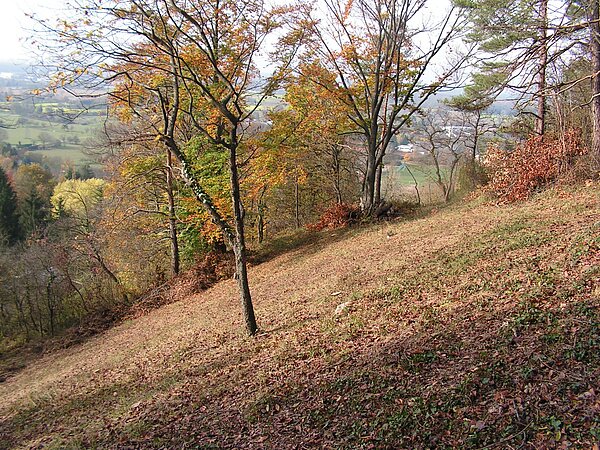 Knittelberg Knittelberg im Herbst