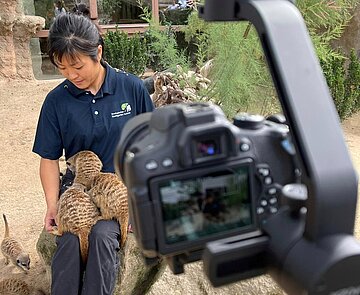 Azubi Videos 