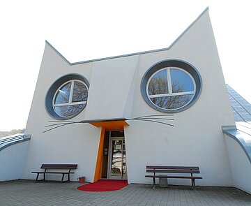 Katzenkindergarten Katzenkindergarten