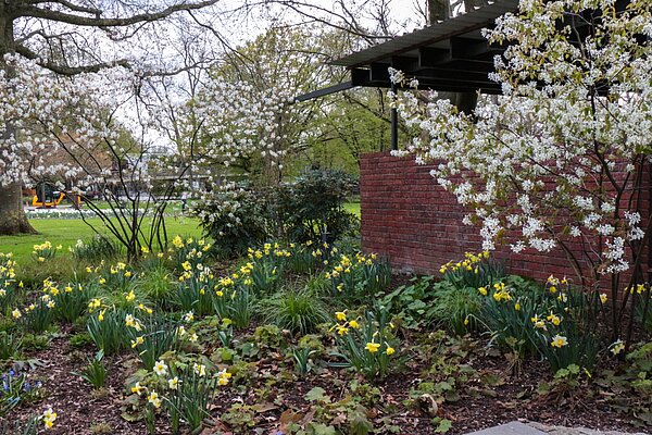 Pergolengarten im Stadtgarten Das Bild zeigt den Pergolengarten im Stadtgarten im Frühling.