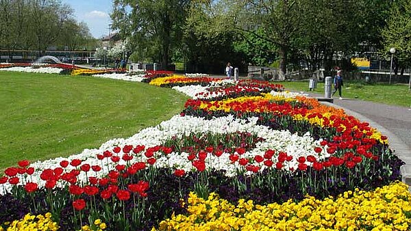 Theaterplatz in früheren Zeiten mit Wechselflor Das Bild zeigt eine Frühlingsbepflanzung auf den früheren Beeten des Theaterplatzes.