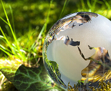 Klimaschutzaktivitäten Weltkugel aus Glas auf einer grünen Wiese
