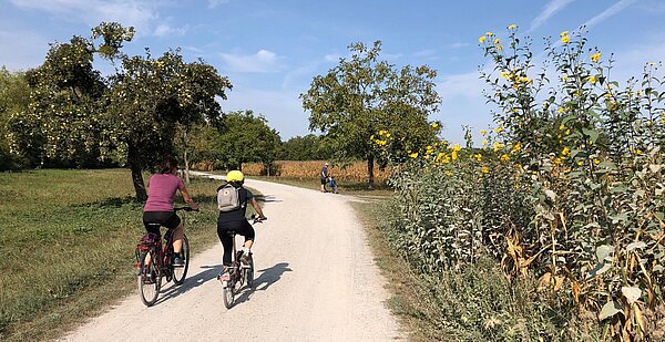 Radtouren rund um Karlsruhe Das Foto zeigt einen Radweg in der Umgebung von Karlsruhe.