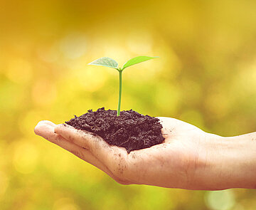 Hand holding and nurturing tree growing on fertile soil with green and yellow bokeh background / nurturing baby plant / protect nature Spenden, Stiftungen und Nachlässe