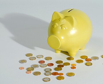 Sparschwein mit Münzen