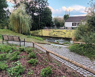 Mühlenwehr Mühlenwehr