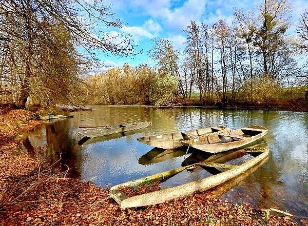 DAs Bild zeigt ein Gewässer im Karlsruher Stadtraum. Es steht symbolisch für das Thema Benutzung von Oberflächengewässern.