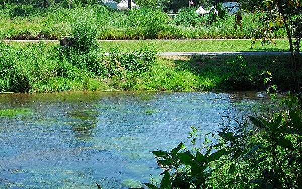 Das Bild zeigt ein Gewässer in Karlsruhe.