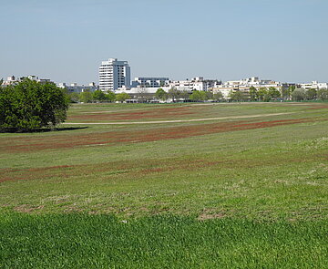 Blick auf die Düne am Heidesee im LSG Neureuter Feldflur, im Hintergrund: die Bebauung Neureuts