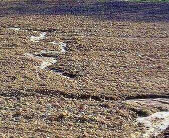 Das Bild zeigt einen Ausschnitt eines landwirtschaftlich genutzten Bodens.