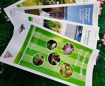 Das Bild steht symbolisch für Umweltwissen A bis Z und zeigt eine Reihe an Broschüren 