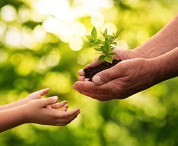 Zwei Handpaare die sich ein Pflänzchen übergeben
