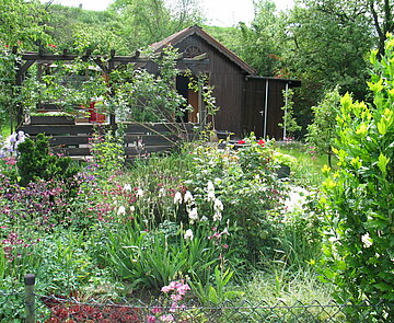 Das Bild zeigt ein Gartenhaus und einem Staudengarten in der Kleingartenanlage Mastweide. 