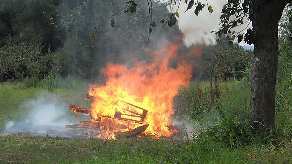 Feuer auf einer Wiese