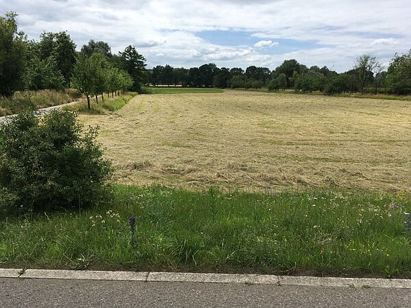 Das Bild zeigt die Burgau Agrarstruktur.