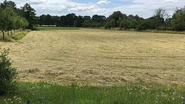 Das Bild zeigt die Burgau Agrarstruktur.