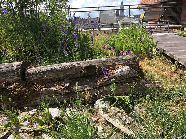 Holz- und Steinstrukturen in Dachgarten